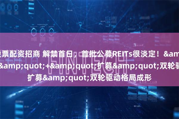 股票配资招商 解禁首日，首批公募REITs很淡定！"首发"+"扩募"双轮驱动格局成形