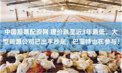 中国股票配资网 锂价跌至近3年最低，大型能源公司已出手抄底，巴菲特也在参与！